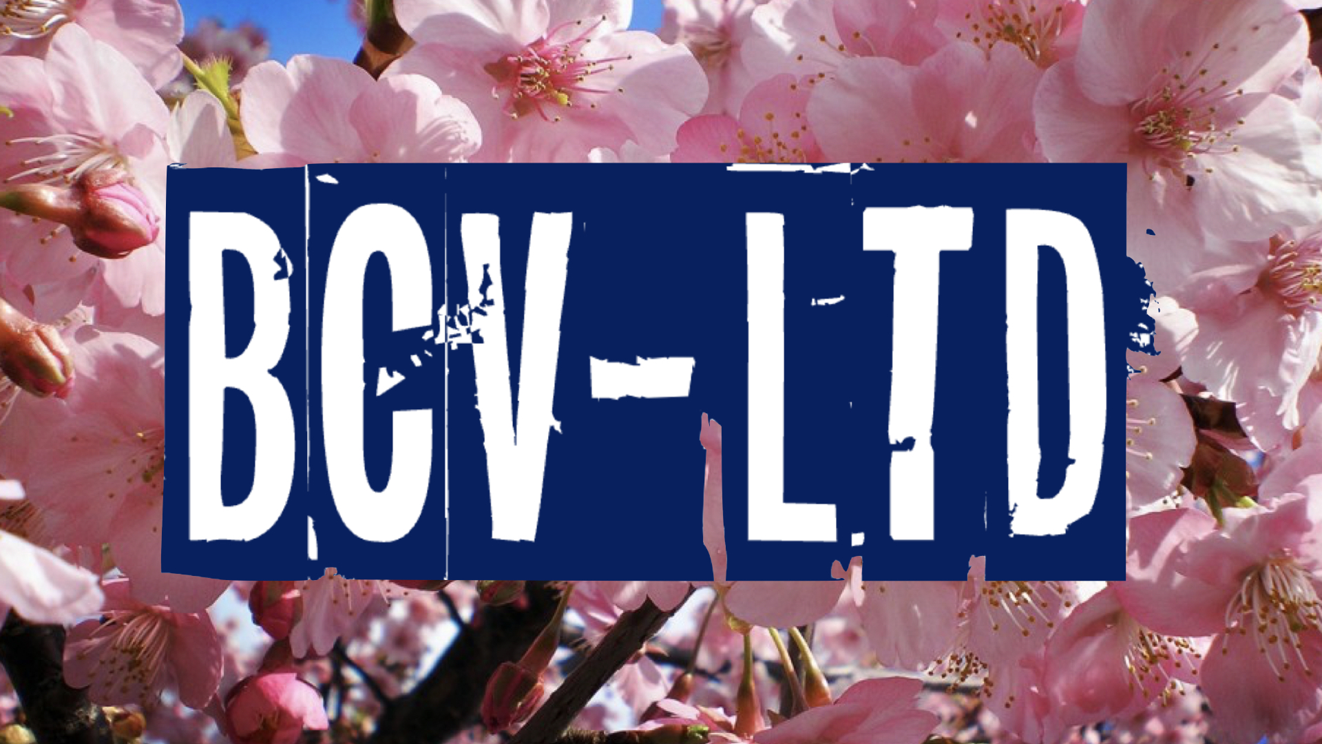 BCV Sakura