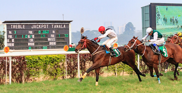 india, racing, sports, betting india, racing, sports, betting
